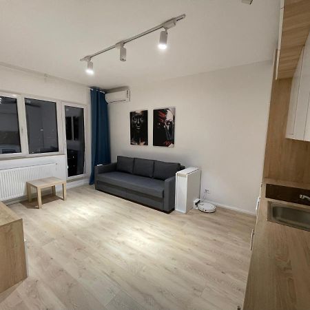 Amethyst Luxury Apartment Palace Bukarest Kültér fotó