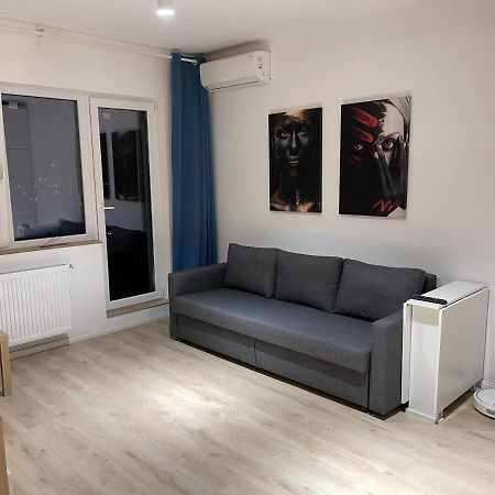Amethyst Luxury Apartment Palace Bukarest Kültér fotó